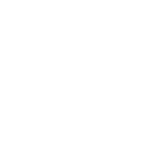 Capital Industrial logo